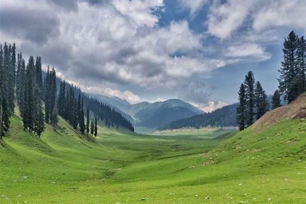 Bangus Valley: