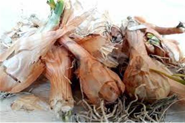 Praan: Adding Flavor to Kashmir Wazwan 